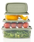 NETTO mit dem Scottie Berlin - Aufbewahrungsbox Angebot im Prospekt Aufbewahrungsbox bei NETTO mit dem Scottie im Berlin Prospekt für 3,99 €