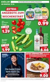 Aktueller Kaufland Prospekt mit Tomaten, "EXTRA-ANGEBOTE", Seite 8