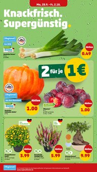 Kürbis im Penny Prospekt "Wer günstig will, muss Penny." mit 42 Seiten (Münster)