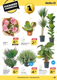 Deko Blumen im Netto mit dem Scottie Prospekt Deko Blumen im Netto mit dem Scottie Prospekt Günstig. Besser. Für Dich. auf S. 31