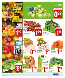 EDEKA Pflanzen im Prospekt EDEKA Pflanzen im Prospekt