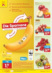 Bananen im Netto Marken-Discount Prospekt in St. Ingbert Aktueller Netto Marken-Discount Prospekt mit Bananen, "Aktuelle Angebote", Seite 14