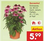 Netto Marken-Discount Schleiden - Sonnenhut Angebot im Prospekt Sonnenhut bei Netto Marken-Discount im Schleiden Prospekt für 5,99 €