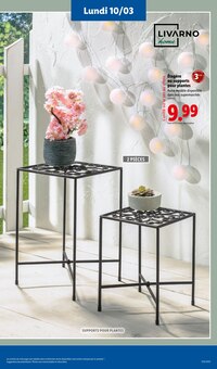 Promo Plante De Balcon dans le catalogue Lidl du moment à la page 55