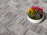 Terrassenplatte „Figuera“ im Hagebaumarkt Prospekt Terrassenplatte „Figuera“ von Mr. Gardener im aktuellen Hagebaumarkt Prospekt für 1,39 €