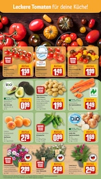 REWE Gartenpflanzen im Prospekt REWE Gartenpflanzen im Prospekt