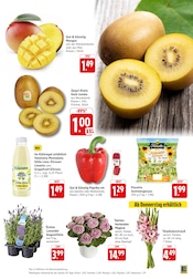 Mango im E center Prospekt in Maintal Aktueller E center Prospekt mit Mango, "Aktuelle Angebote", Seite 3