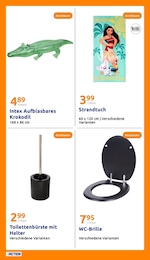 Action Bad-Accessoires im Prospekt 