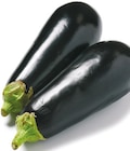 Aubergine bei Netto mit dem Scottie im Angersdorf Prospekt für 0,99 €