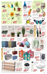 Möbel AS Pfanne im Prospekt 