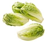 Römersalat Extra fein bei REWE im Bayreuth Prospekt für 1,79 €