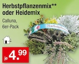 Herbstpflanzenmix oder Heidemix Angebote bei Zimmermann Oldenburg für 4,99 €