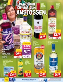 Gin im Netto Marken-Discount Prospekt "Aktuelle Angebote" mit 62 Seiten (Regensburg)