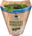 Bio-Petersilie Angebote bei EDEKA Ingolstadt für 1,29 €