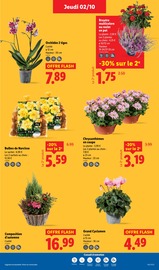 Orchidée Angebote im Prospekt "Plus de 55 produits bio dans l'assiette, ça vaut le coup." von Lidl auf Seite 29