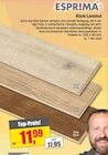 Aktuelles Klick-Laminat Angebot bei Ihr Teppichfreund in Augsburg ab 11,99 €