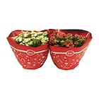 Coupe de kalanchoe en promo chez Carrefour Coupe de kalanchoe dans le catalogue Carrefour