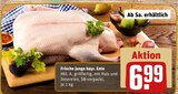 Frische junge bayr. Ente von  im aktuellen REWE Prospekt für 6,99 €