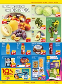Pflanzen im aktuellen Netto Marken-Discount Prospekt (Mönchengladbach) Pflanzen im Netto Marken-Discount Prospekt "Aktuelle Angebote" mit 49 Seiten (Mönchengladbach)