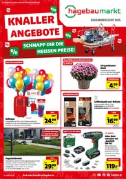 Aktueller Hagebaumarkt Baumärkte Prospekt für Delbrück: KNALLERANGEBOTE mit 8} Seiten, 02.08.2025 - 09.08.2025