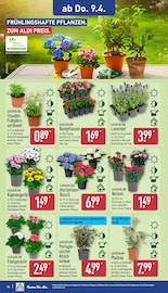 Aktueller ALDI Nord Prospekt mit Stauden, "Aktuelle Angebote", Seite 27