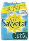 Eau Minérale Naturelle Gazeuse - La Salvetat en promo chez Super U Saint-Nazaire à 3,06 €