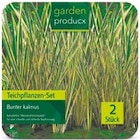 Teichpflanzen-Set von garden product im aktuellen Netto mit dem Scottie Prospekt
