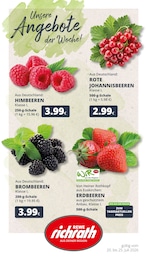 REWE Prospekt für Köln mit 23 Seiten REWE Prospekt für Köln: "Dein Markt", 23 Seiten, 20.07.2026 - 25.07.2026