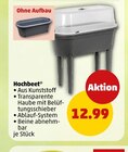 Aktuelle Pflanzen Angebote bei Penny in Magdeburg Aktuelles Hochbeet Angebot bei Penny in Magdeburg ab 12,99 €