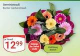 Gerministrauß bei GLOBUS im Rüsselsheim Prospekt für 12,99 €