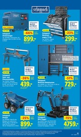 Steine im Lidl Prospekt in Hannover Aktueller Lidl Prospekt mit Steine, "LIDL LOHNT SICH", Seite 41