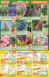 Insektenschutz Angebot & Preis im aktuellen Norma Prospekt Insektenschutz Angebot im aktuellen Norma Prospekt auf Seite 12