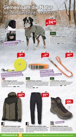 Aktueller Raiffeisenmarkt Prospekt mit Jacke, "Komfort und Genuss für deine Lieblinge!", Seite 2