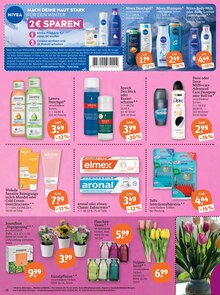 Blumen im tegut Prospekt "tegut… gute Lebensmittel" mit 23 Seiten (Jena)