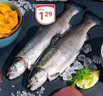 Aktuelles Frische Forelle Angebot bei GLOBUS in Salzgitter ab 1,29 €