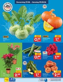 Pflanzen im aktuellen Netto Marken-Discount Prospekt (Rostock) Pflanzen im Netto Marken-Discount Prospekt "Aktuelle Angebote" mit 70 Seiten (Rostock)