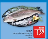 Forelle Angebote bei Marktkauf Bautzen für 1,39 €