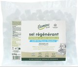 Sel régénérant - Etamine du Lys - NaturéO à Champigny-sur-Marne Sel régénérant - Etamine du Lys en promo chez NaturéO Champigny-sur-Marne à 4,49 €