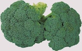 Spanien Broccoli bei EDEKA im Ascheberg Prospekt für 1,22 €