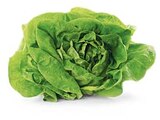 Deutscher Kopfsalat Angebot in Eberswalde Deutscher Kopfsalat im aktuellen Prospekt bei Penny-Markt in Eberswalde