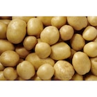 Pomme de terre de consommation à chair ferme blanche à Carrefour Market dans Villasavary