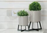 Pflanztopf Angebote bei Opti-Wohnwelt Gifhorn für 14,99 €