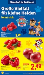Tomaten im Lidl Prospekt Tomaten im Lidl Prospekt LIDL LOHNT SICH auf S. 2