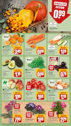 REWE Orchidee im Prospekt REWE Orchidee im Prospekt