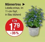Aktuelles Männertreu Angebot bei V-Markt in München ab 1,79 €