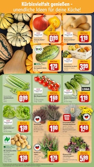 Kürbis im REWE Prospekt "Dein Markt" mit 29 Seiten (Recklinghausen)