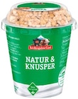 Natur & Knusper Joghurt Angebote von Berchtesgadener Land bei REWE Regensburg für 0,59 €