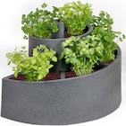 Aktuelles XXL-Kräuterspiraltopf Angebot bei Thomas Philipps in Düsseldorf ab 49,99 €