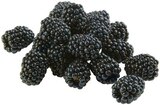 Brombeeren im Angebot bei REWE in Filderstadt Brombeeren Angebote von REWE Regional bei REWE Filderstadt für 1,99 €
