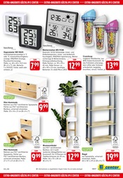 Akku im EDEKA Prospekt in Bensheim Aktueller EDEKA Prospekt mit Akku, "Aktuelle Angebote", Seite 37